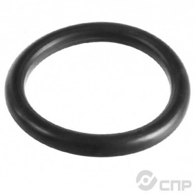 Уплотнительное кольцо О-ring for Lid R350013